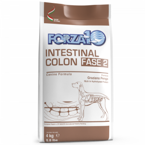 Forza10 Intestinal COLITIS Active 2. fāze sausā barība suņiem 4kg