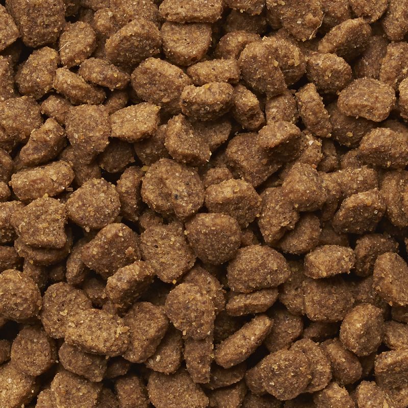 IAMS CAT ADULT HAIRBALL sausā kaķu barība 10kg