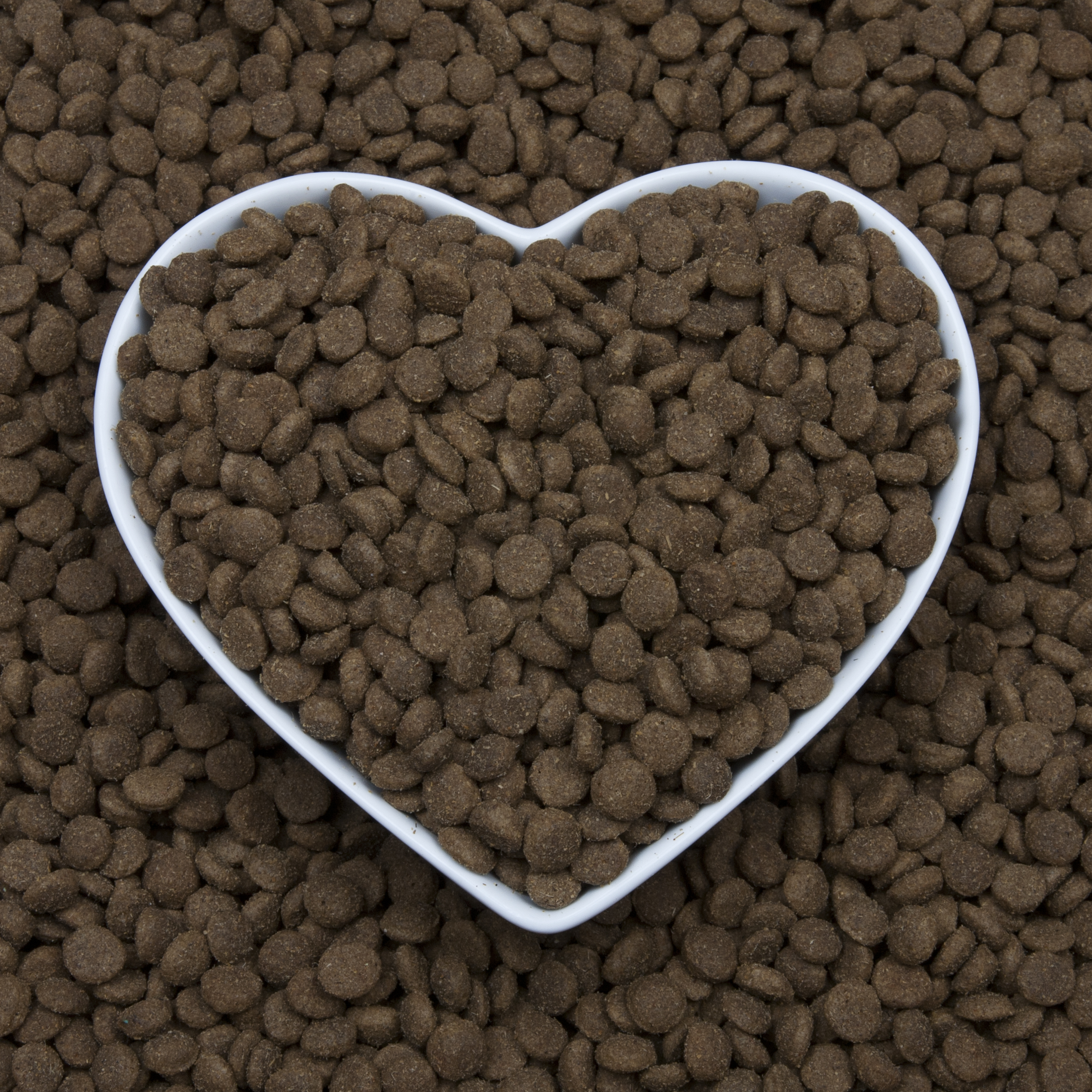 barking heads small breed