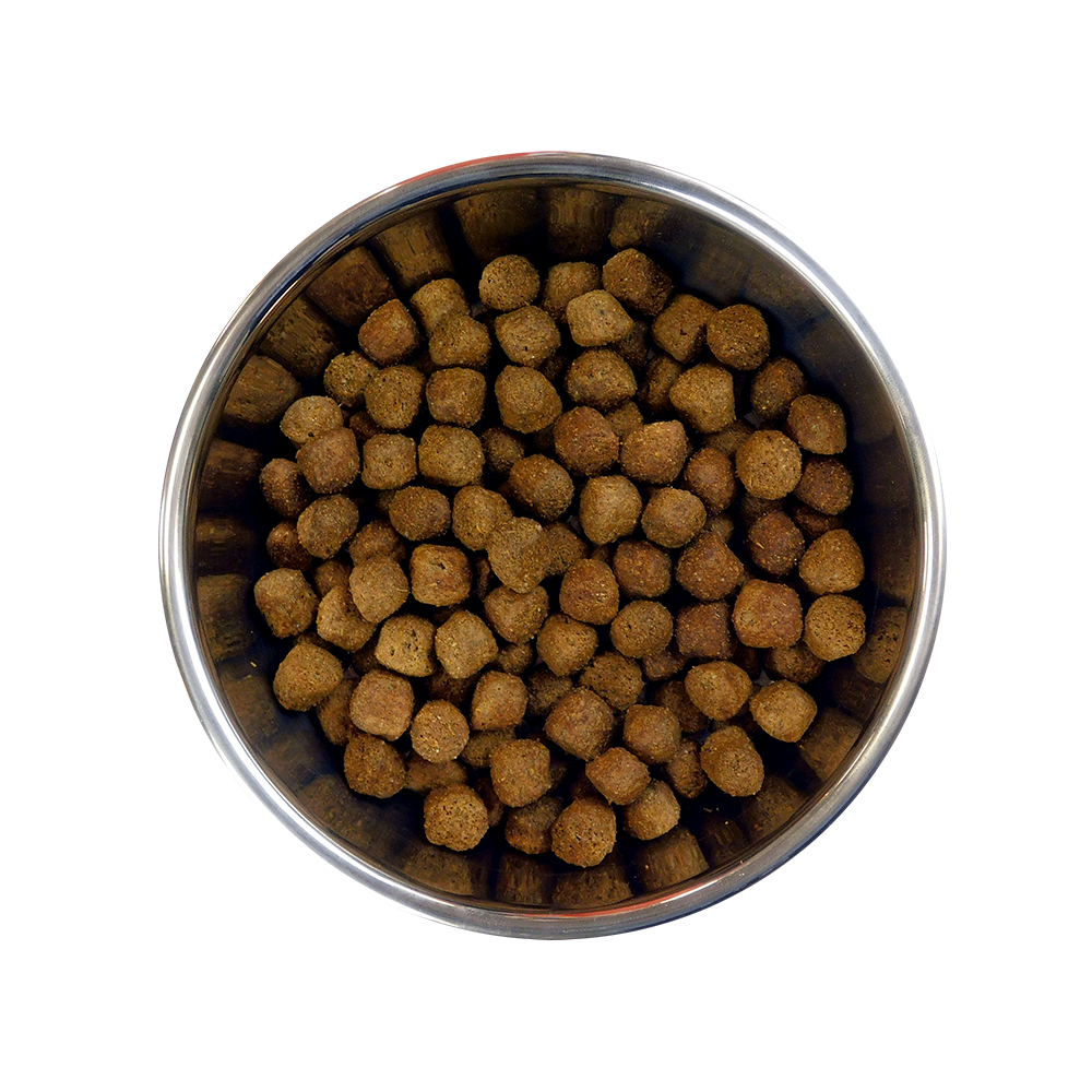 barking heads small breed