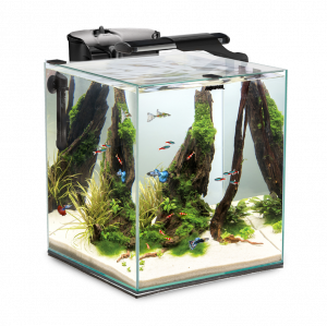 Aquael FISH&SHRIMP SET SMART DUO 35 Black 49L