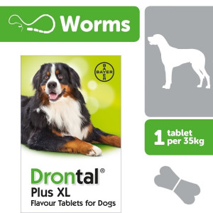 Drontal Dog Flavour XL  525/504/175 mg tabletes  lielu suņu attārpošanai 2tbl/ N2