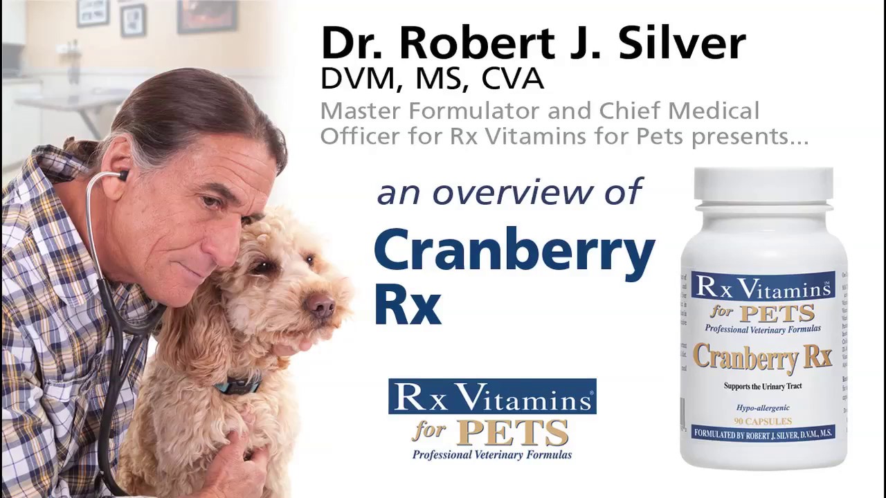 Rx Vitamins CRANBERRY Rx  N90