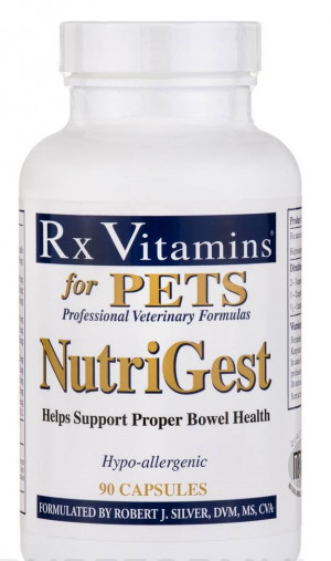 Rx Vitamins NUTRI GEST  N90