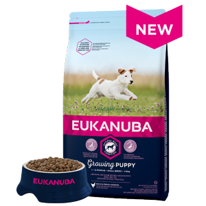 Eukanuba Puppy Small Chicken - sausā barība ar vistu mazo šķirņu kucēniem 3 kg