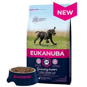 Eukanuba Puppy & Junior Large Breed Chicken - sausā barība lielo šķirņu kucēniem 3kg