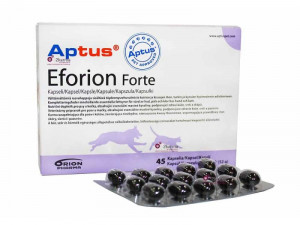 APTUS  EFORION Forte kapsulas N45