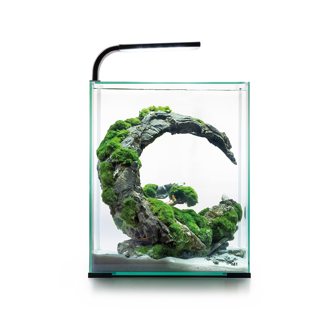 Akvārijs Aquael Shrimp Set Day & Night 30, balts 30L