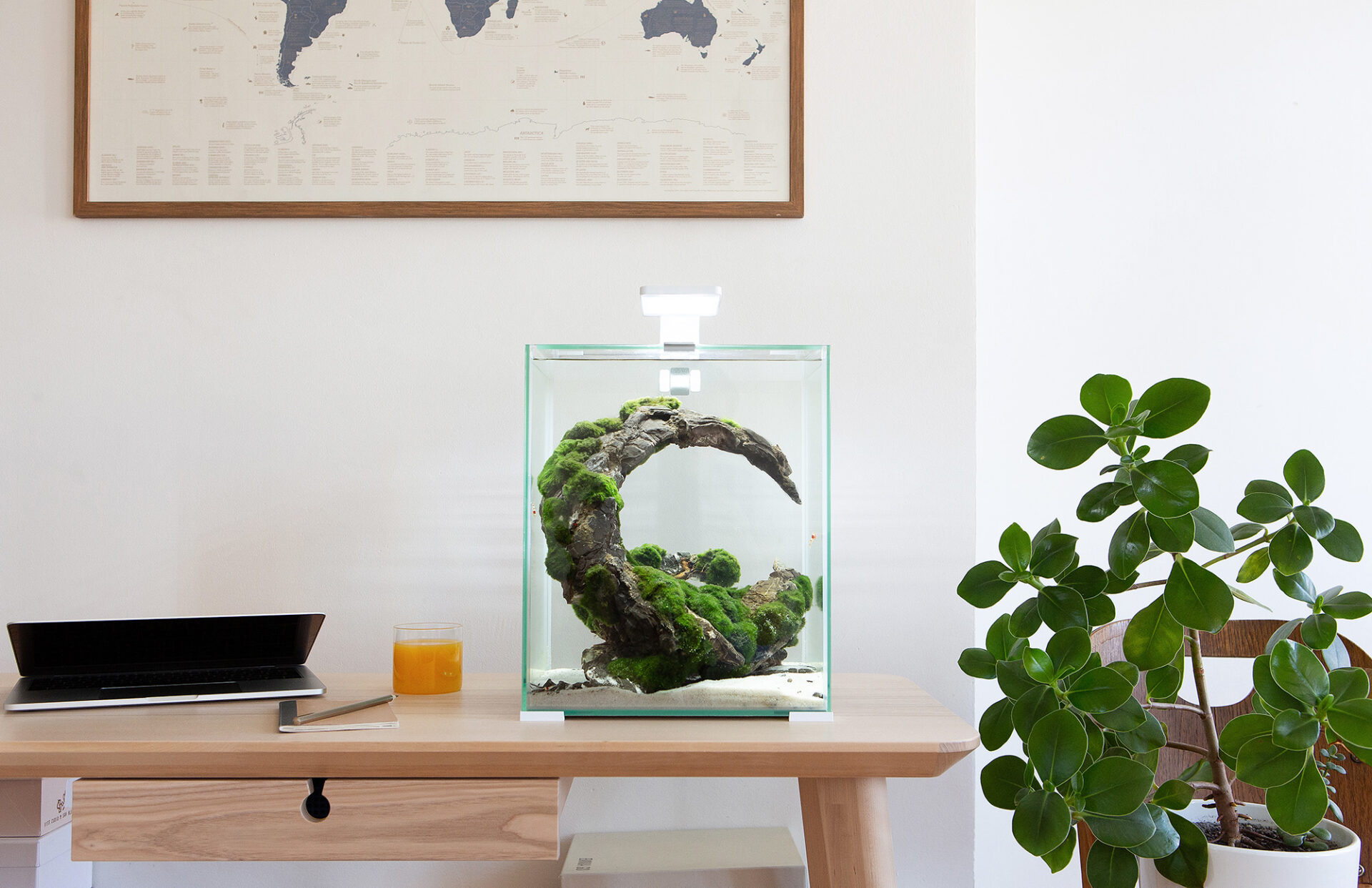 Akvārijs Aquael Shrimp Set Day & Night 30, balts 30L