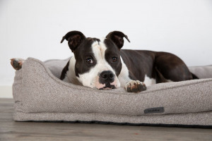 NOBBY Comfort bed square "CALBU" - guļvieta suņiem un kaķiem