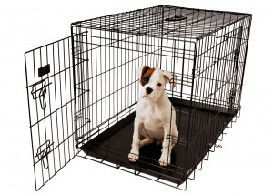 Show Tech American Cage Black With Plastic Tray 3 - metāla būris suņiem 93 x 58 x 62,5 cm