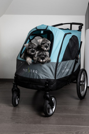 Petstro Large 4-Wheel Buggy, Turquoise/Grey - rati mājdzīvnieku pārvadāšanai, zili