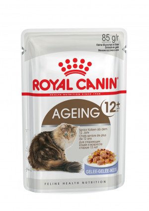 Royal Canin FHN AGEING +12 in Jelly 12x85g