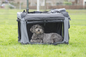 Innopet Carrier All in One - auduma transportēšanas būris, pelēks 102 x 69 x 69 cm