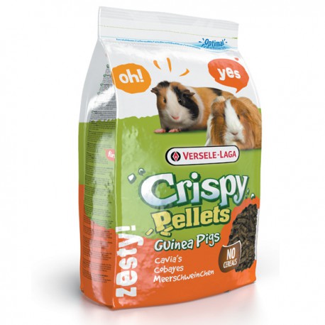 Crispy muesli guinea shop pig