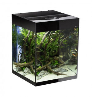 Akvārijs Aquael GLOSSY SET CUBE BLACK LT 2x10W LED