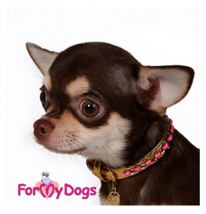 For My Dogs kaklasiksna suņiem