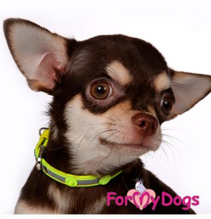For My Dogs kaklasiksna suņiem