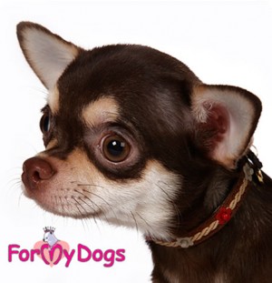 For My Dogs kaklasiksna suņiem