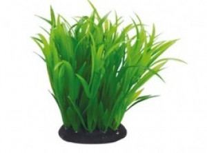 Aquael plastmasas augs PR-410 4''