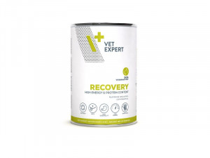 4T Veterinary Diet Recovery Dog 6 x 400g