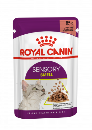 Royal Canin FHN Sensory Smell gravy 12x85g Cena norādīta par 1gb.
