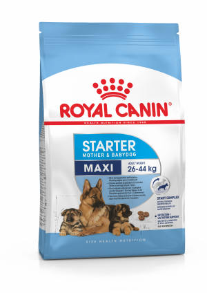 Royal Canin SHN Maxi Starter 15 kg Cena norādīta par 1 gb. un ir spēkā pasūtot 2 gb.