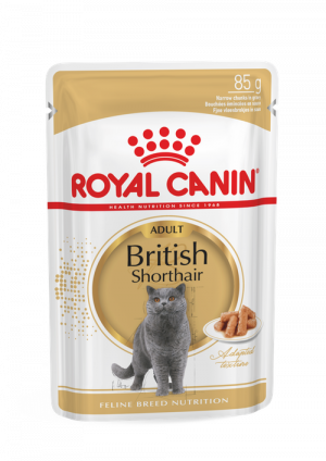Royal Canin FBN British Shorthair 24x85g Cena norādīta par 1gb.