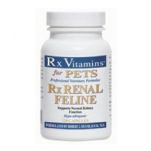 Vetoquinol Rx Renal Feline N120