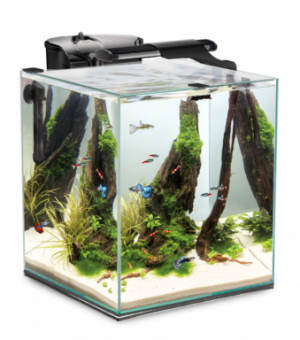 Akvārijs Aquael FISH & SHRIMP SET DUO 35 BLACK