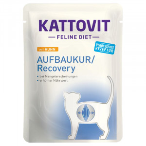 Kattovit Aufbaukur/Recovery ar vistu 85g