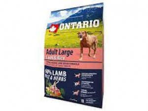 Ontario Dog Adult Large Lamb and Rice&Turkey -  sausā barība suņiem 12kg