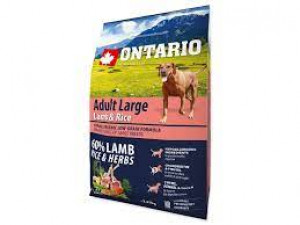 Sausā barība suņiem - Ontario Dog Adult Large Lamb, Rice and Turkey, 12 kg