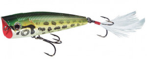 Yo-Zuri Sashimi Popper FW 7.5cm, 10g - CMF