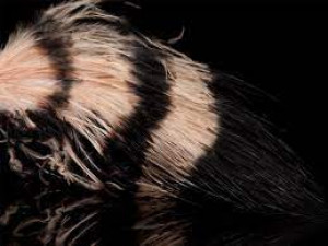 A.Jensen Jail House Marabou - black/tan