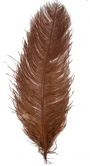 A.Jensen Ostrich Plume - brown