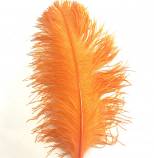 A.Jensen Ostrich Plume - orange