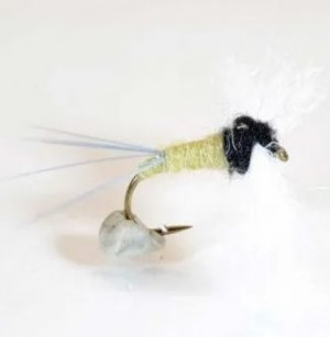 A.Jensen Poly Spinner BWO 12gb