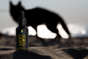 PETMED CBD Eļļa 20ml