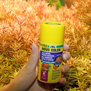 JBL PRONOVO COLOR FLAKES M 250ml