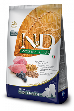 Farmina N&D DOG ANCESTRAL GRAIN LAMB BLUEBERRY PUPPY MEDIUM MAXI 2.5kg