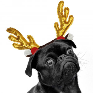 Nobby Xmas Ziemassvētku ziemeļbriežu ragi - zelta