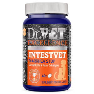 DR.VET Intestvet 40tab