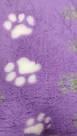 VETBED DELUXE Paklājs ar gumijotu pamatni no bieza materiāla - violets ar ķepām