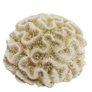 NOBBY akvārija dekors '' CORAL''