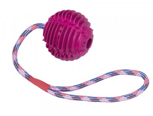 NOBBY Gumijas bumba ar virvi, Violeta