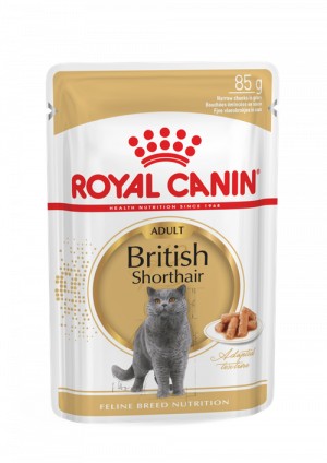 Royal Canin FBN British Shorthair 12x85g Cena norādīta par 1gb.