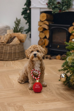 Beeztees Christmas toy ball jingle - plīša rotaļlieta suņiem