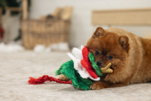 Beeztees Christmas dog toy tree - plīša rotaļlieta suņiem