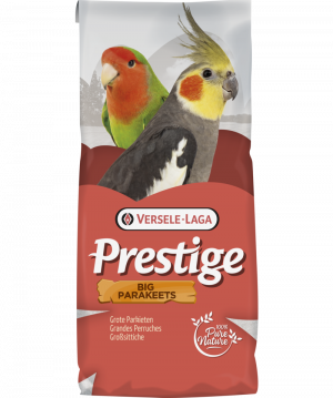Prestige Big parakeet 22kg